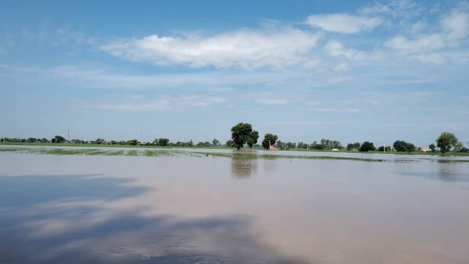 Flood in Haryana Ghaggar is taking a terrible form in Sirsa, Fatehabad and Kaithal Water is filling in village