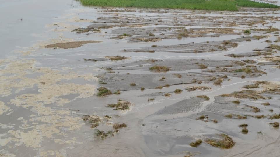 haryana flood River water left sand in the fields, potholes on the road, land erosion continues