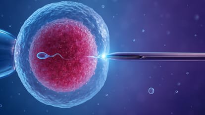 what matters most in ivf after age of 40 know donor eggs success rate explainer in hindi