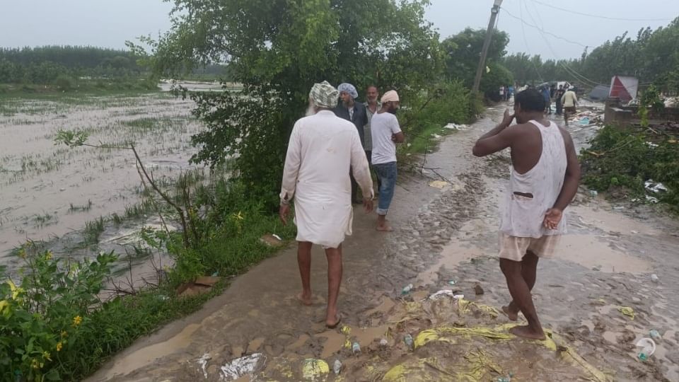 Punjab Floods News Dhussi dam broke in Ludhiana village Sasrali, water of Sutlej river entered area