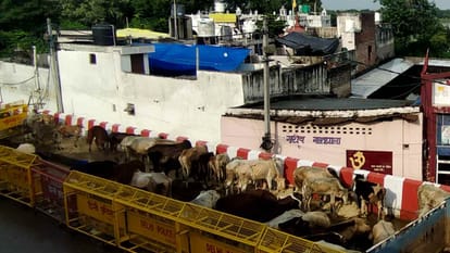 Delhi Flood News Yamuna falls below  206-47 metres in Delhi