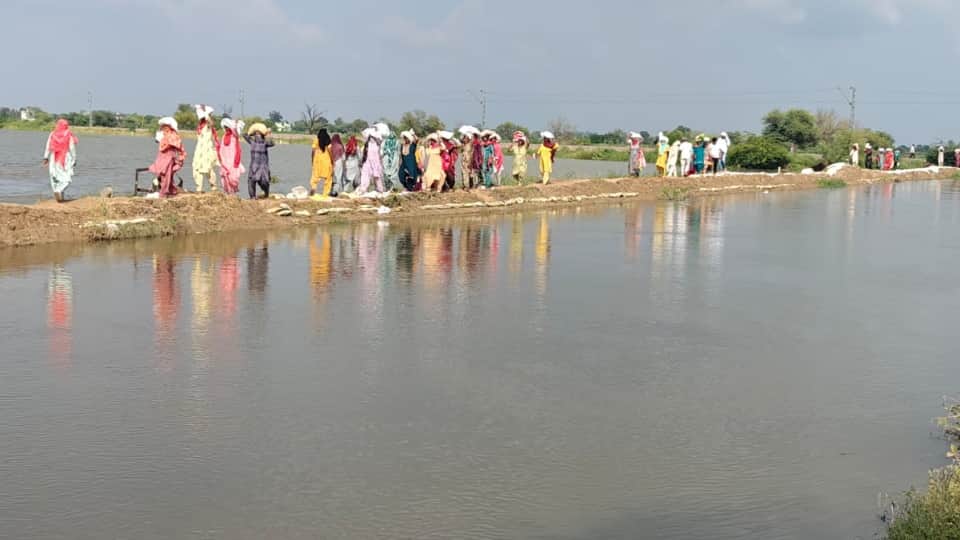 Haryana Flood Crisis: 5 Districts Facing Severe Waterlogging, Crops Damaged, Residential Areas Submerged