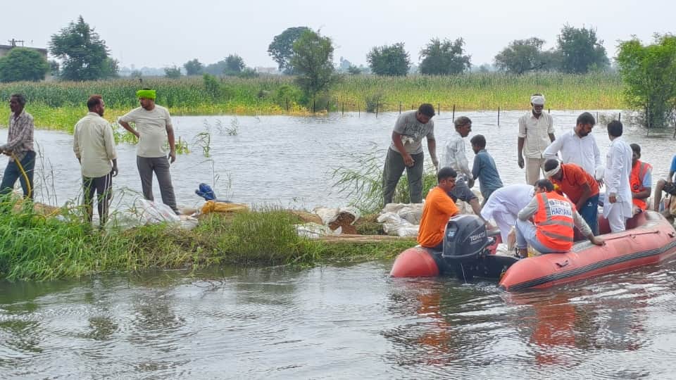 Haryana Flood Crisis: 5 Districts Facing Severe Waterlogging, Crops Damaged, Residential Areas Submerged