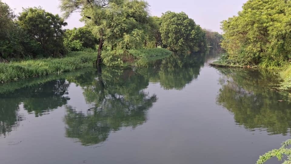Haryana Floods 40 villages in Sirsa are in danger of flooding due to Ghaggar river