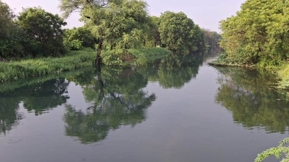 Haryana Floods 40 villages in Sirsa are in danger of flooding due to Ghaggar river