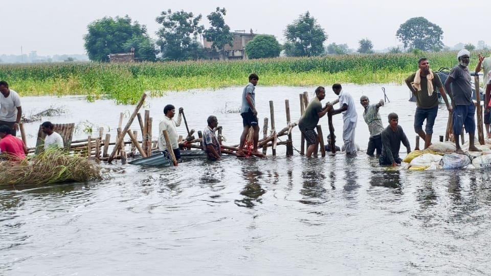 Haryana Flood 2025 Waterlogging, Breached Embankments in 5 Districts, 100 Villages Affected