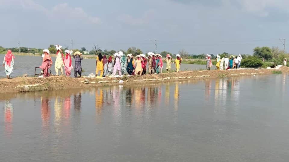 Haryana Floods 40 villages in Sirsa are in danger of flooding due to Ghaggar river