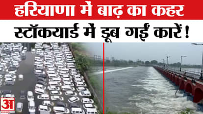 Haryana Floods: 24 people have died so far due to floods in Haryana, cars drowned in the stockyard!