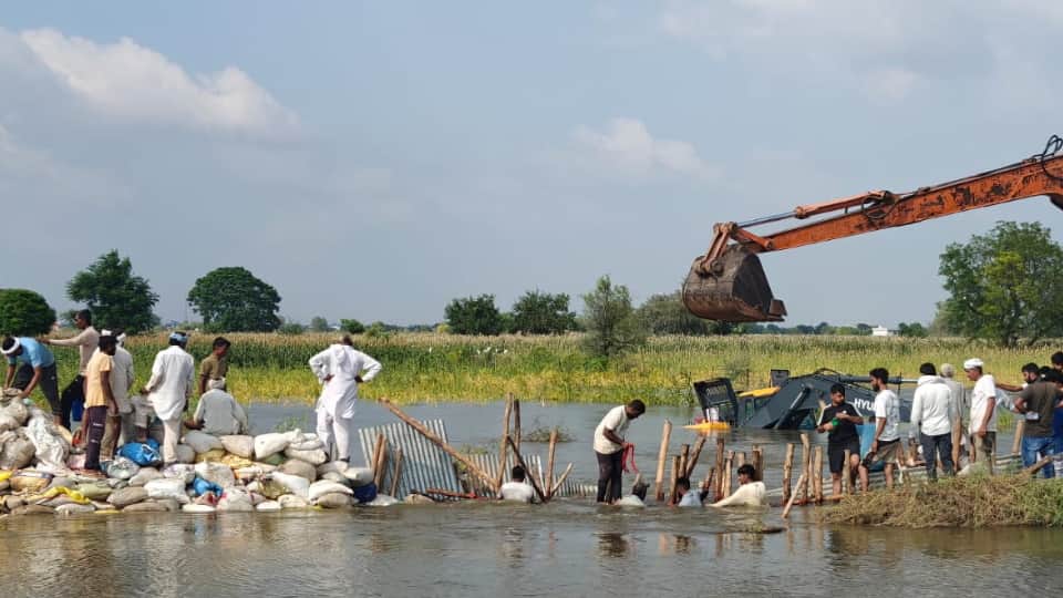 Haryana Flood Crisis: 5 Districts Facing Severe Waterlogging, Crops Damaged, Residential Areas Submerged