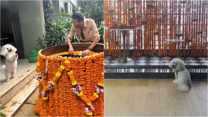 Kartik Aaryan pet Katori Missing Ganpati Bappa after Ganesh Visarjan Festival actor shares adorable video