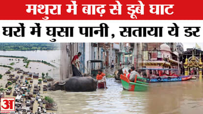 Mathura Flood Update: Yamuna wreaks havoc in Mathura, administration issues high alert | AmarUjala