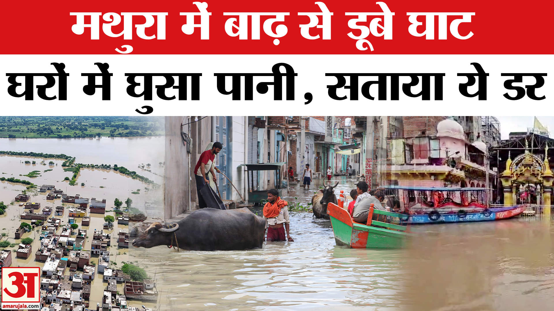Mathura Flood Update: मथुरा में यमुना का कहर,प्रशासन ने जारी किया हाई अलर्ट | AmarUjala