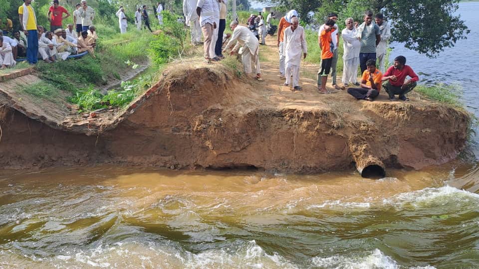 Haryana Flood Crisis: 5 Districts Facing Severe Waterlogging, Crops Damaged, Residential Areas Submerged