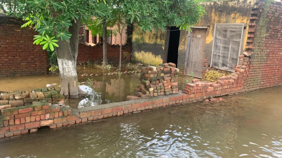 Punjab Flood News Crops Ruined due to Heavy Rain, Homes Submerged Ground Report from Amritsar