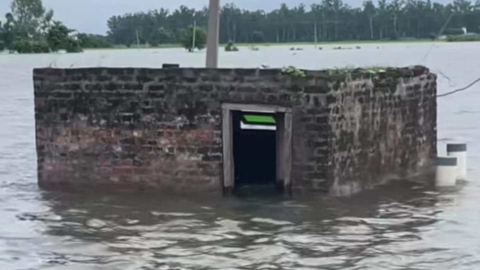 Punjab Flood News Crops Ruined due to Heavy Rain, Homes Submerged Ground Report from Amritsar