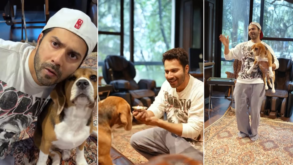 Varun Dhawan finds best dance partner for sunny sanskari ki tulsi kumari Bijuria song says sorry Janhvi Kapoor