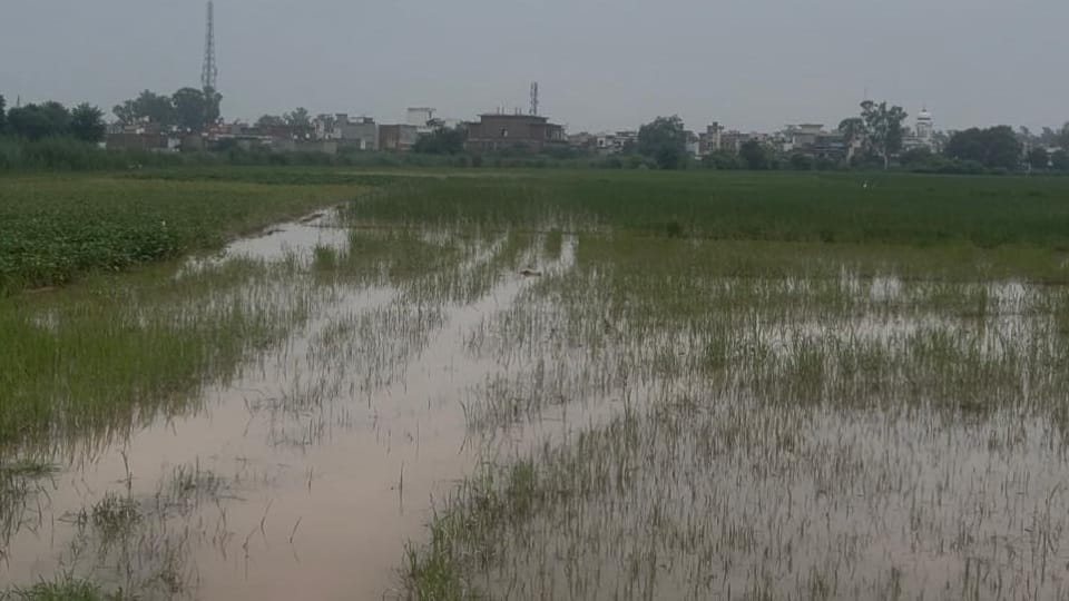 water came down by 11 thousand cusecs from danger mark in Markanda River