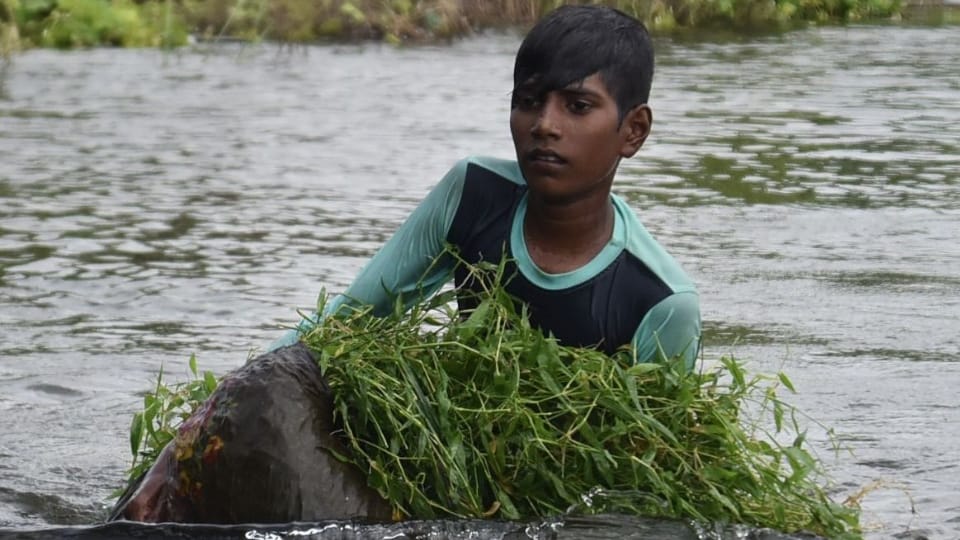 Ganga water level rises: Floods turn 150 families' homes into tents