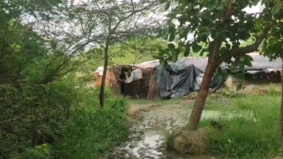 Kanpur Murder Case Woman Kills Husband for Love Affair with Nephew, Buries Body Details in Hindi