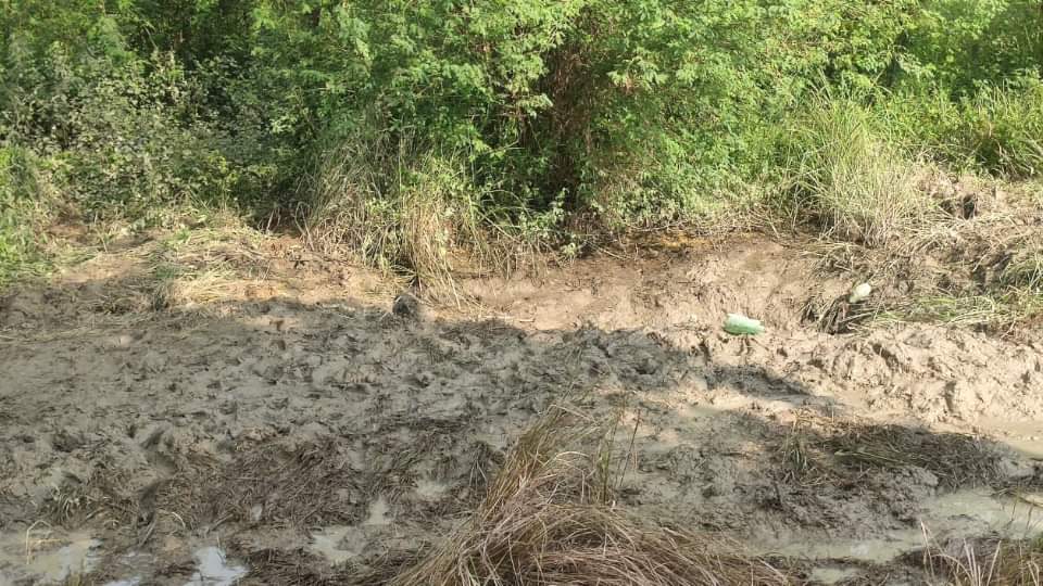 Kanpur Murder Case Woman Kills Husband for Love Affair with Nephew, Buries Body Details in Hindi