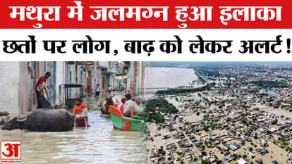 Mathura-Vrindavan Flood Update: Flood situation in Mathura, people worried! | Heavy Rain