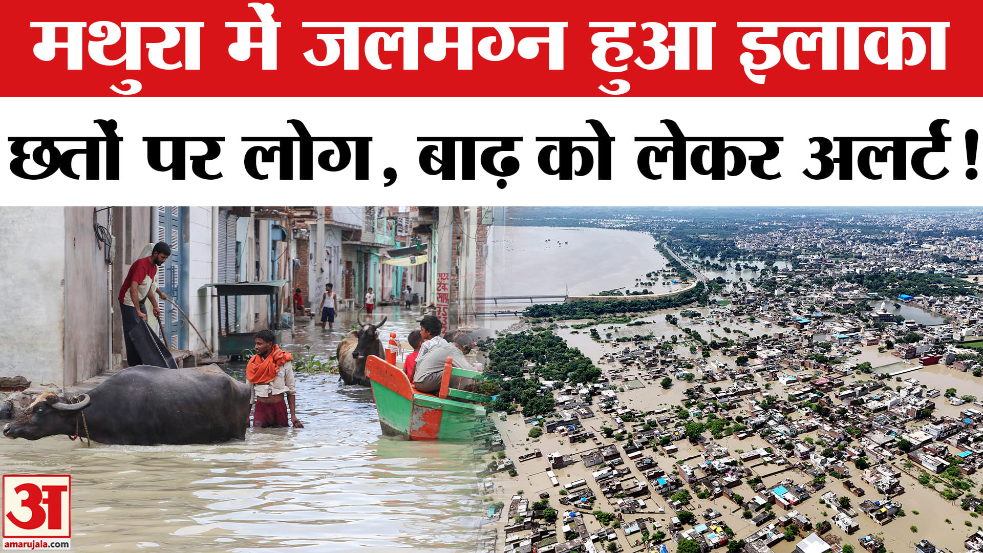 Mathura-Vrindavan Flood Update: मथुरा में बाढ़ से हालात, लोगों परेशान! | Heavy Rain
