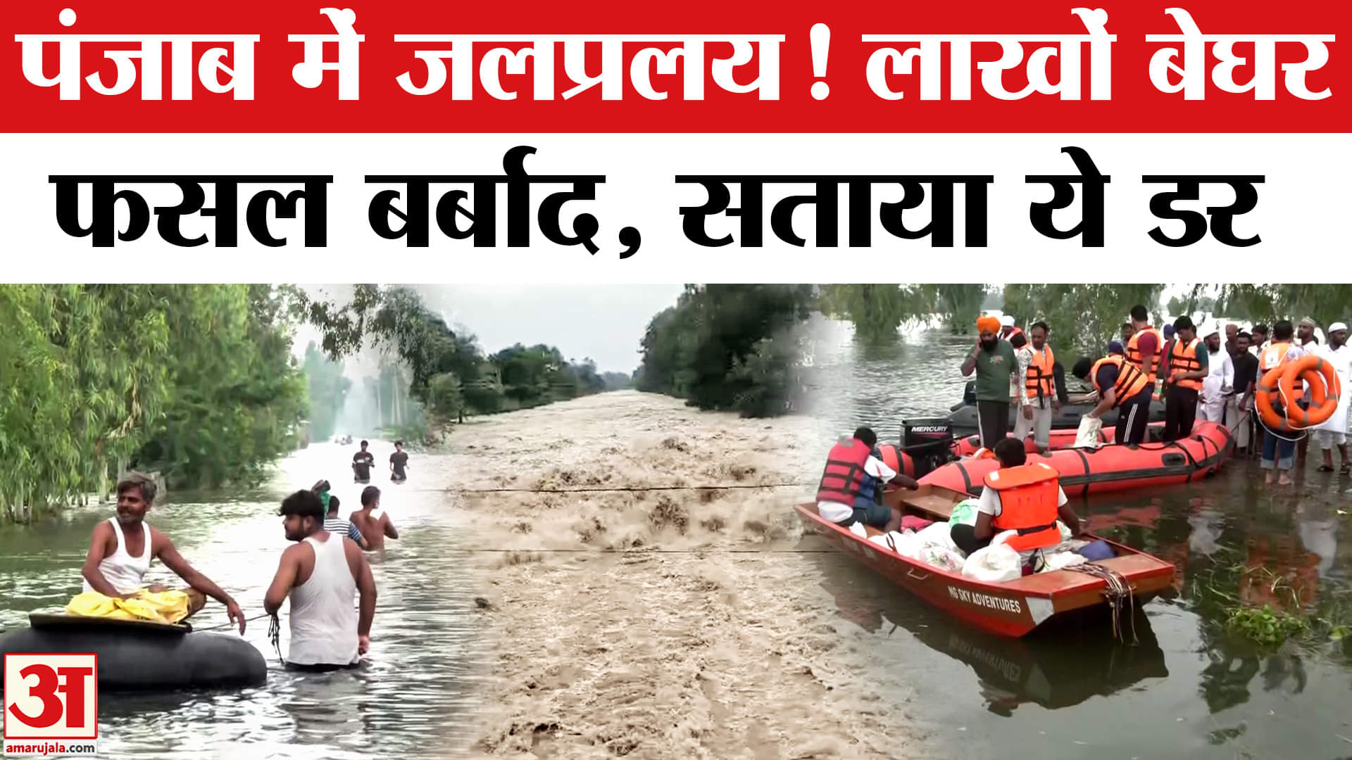 Punjab Floods: पंजाब में हाहाकार, बाढ़ से लोग बेहाल | Punjab News