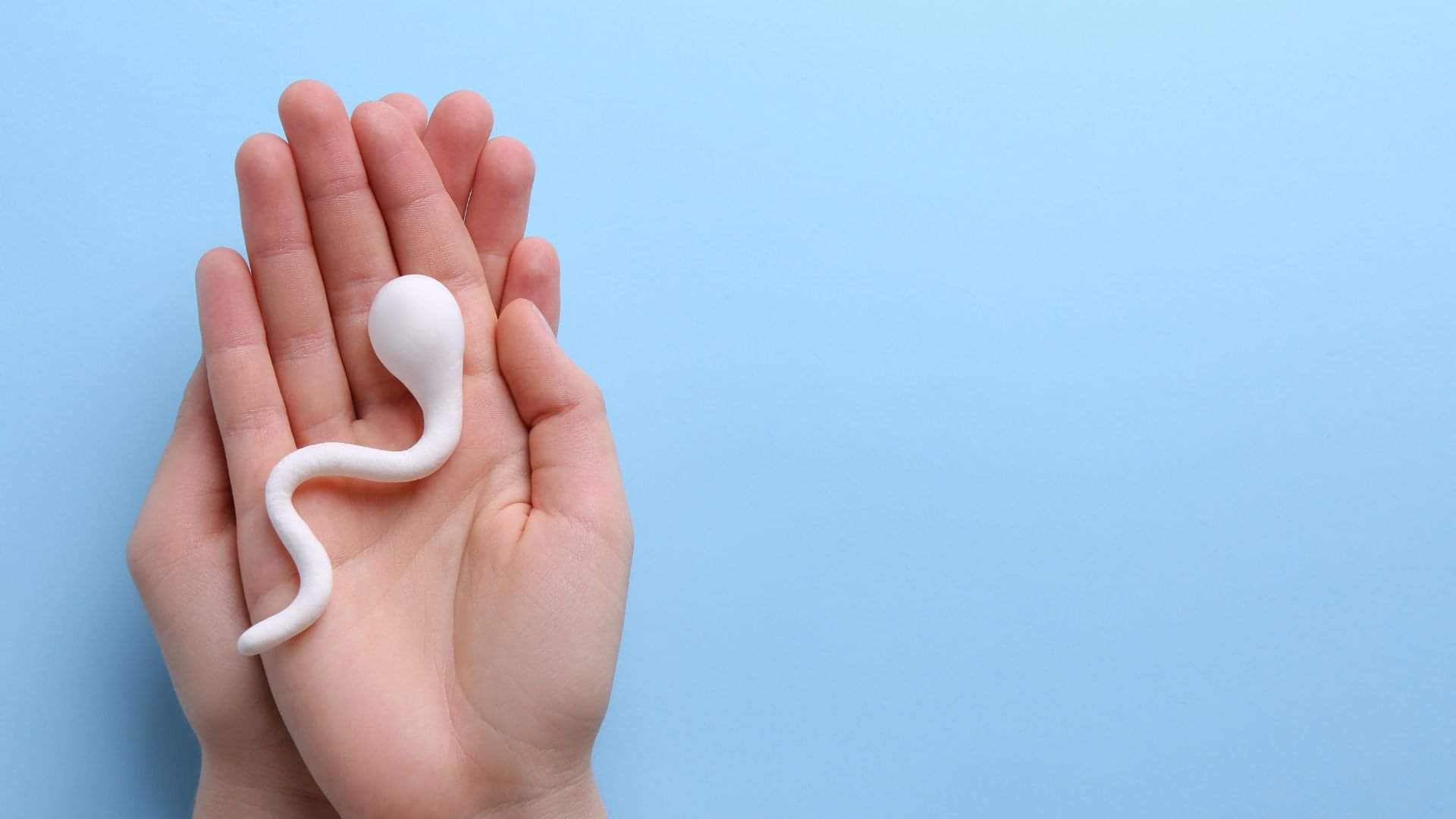 Health Tips How Air Pollution is Affecting Fertility Check What Precautions Can Reduce Risk