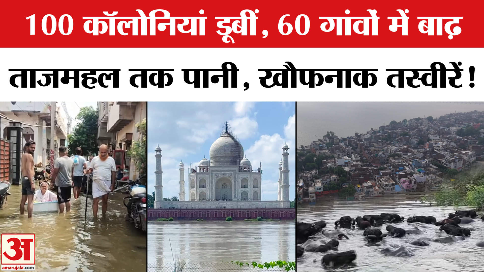 Agra में Yamuna का जलस्तर 47 साल बाद विकराल, हजारों लोग बेघर। UP Flood News | Taj Mahal