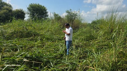 Rajasthan Weather Update: Monsoon Weakens, 193 Dead and Major Crop Loss Triggers Compensation Protests i