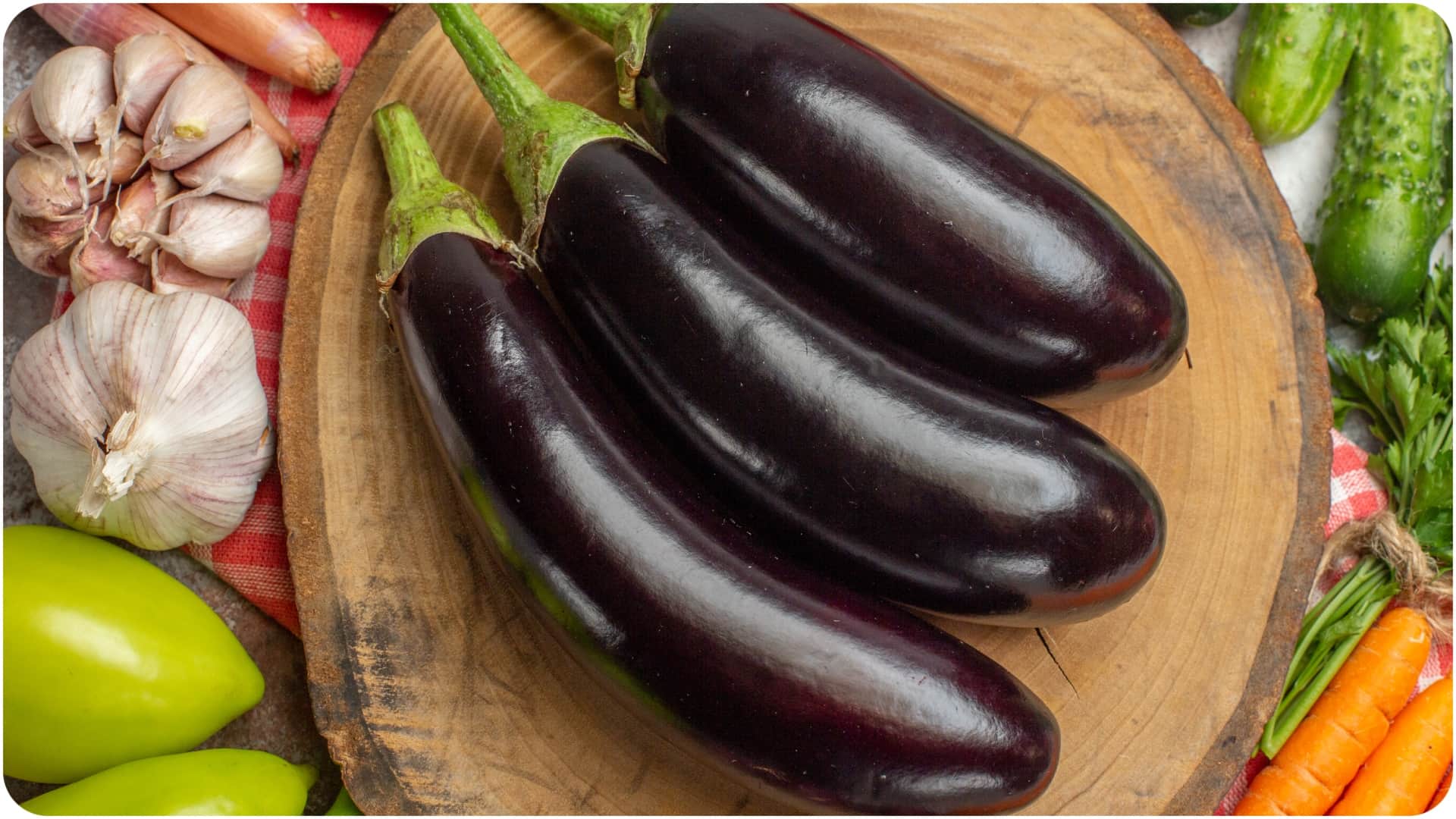 summer business idea which vegetables can be plant in march know the list here