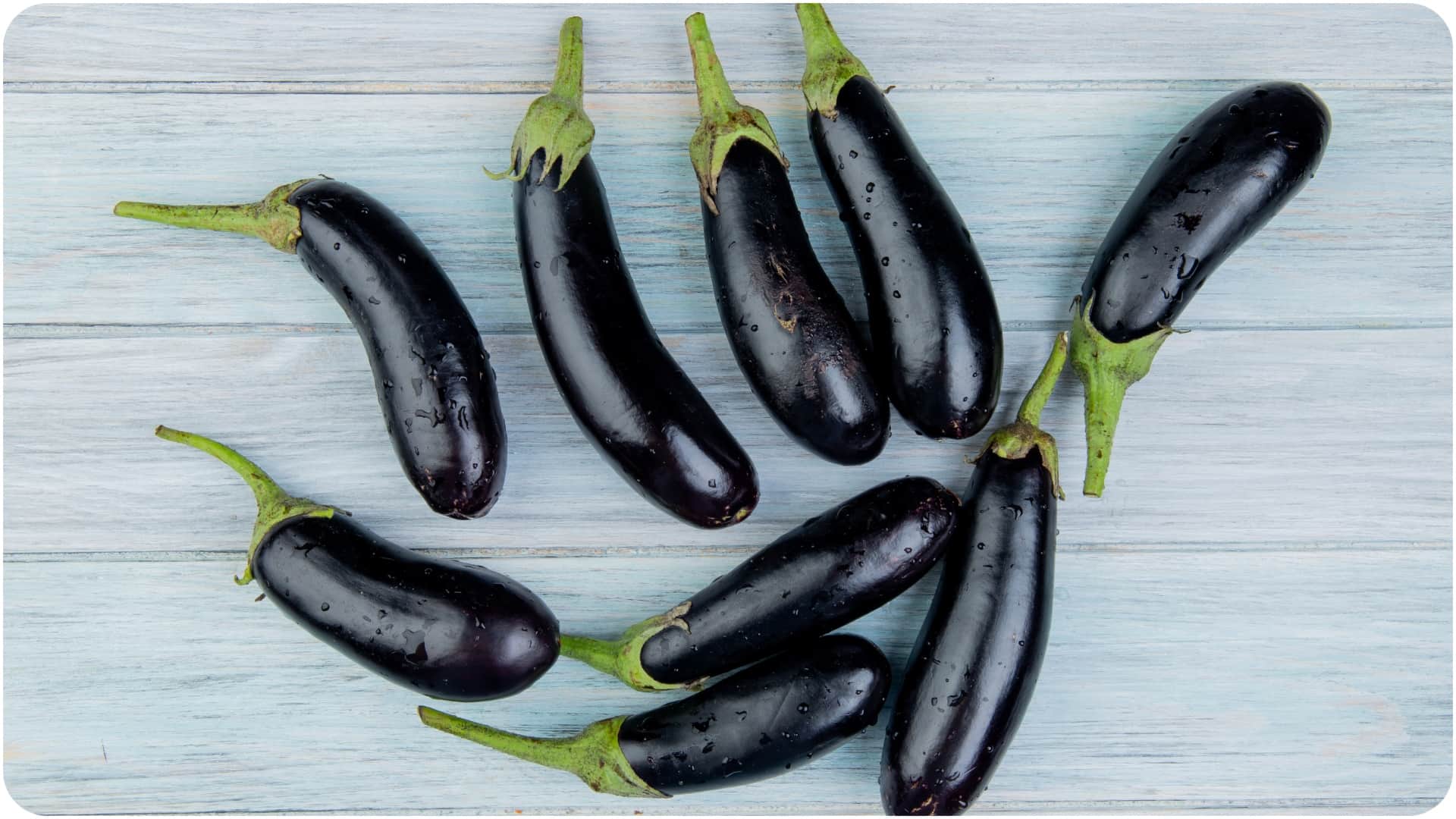 nautapa 2026 health risk When to avoid eating brinjal in nautapa me baigan kyu nahi khana chahiye