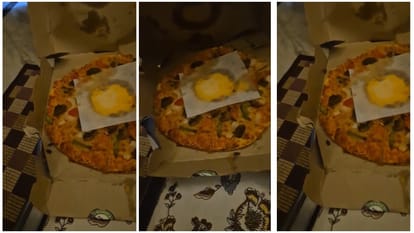 Shahdol News: CSP Son Receives Pizza with Cockroaches from Dominos, Store Admits Mistake
