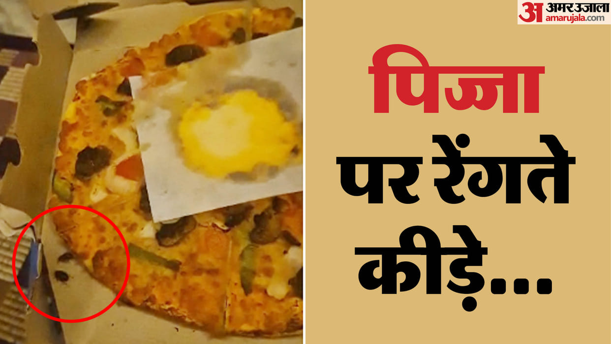 Shahdol News: CSP Son Receives Pizza with Cockroaches from Dominos, Store Admits Mistake