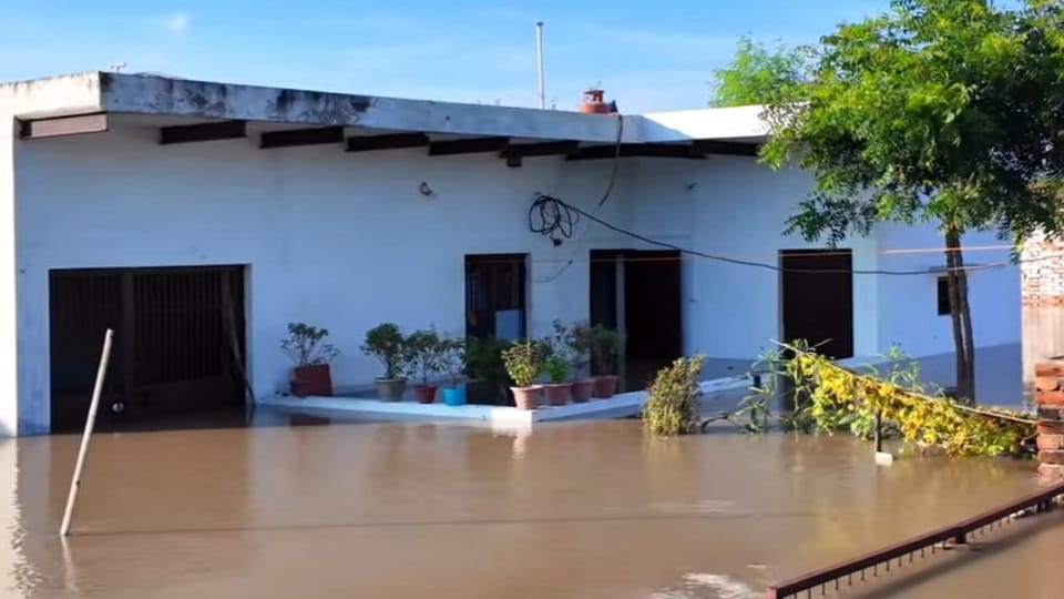 Yamuna wreaked havoc in Mathura-Vrindavan house collapsed eight buffaloes died all schools up to 12th closed