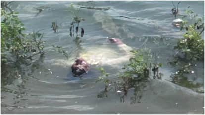 MP News Man Pretends to Be Dead Body in Water for Reel, Police Shocked Gwalior News in Hindi
