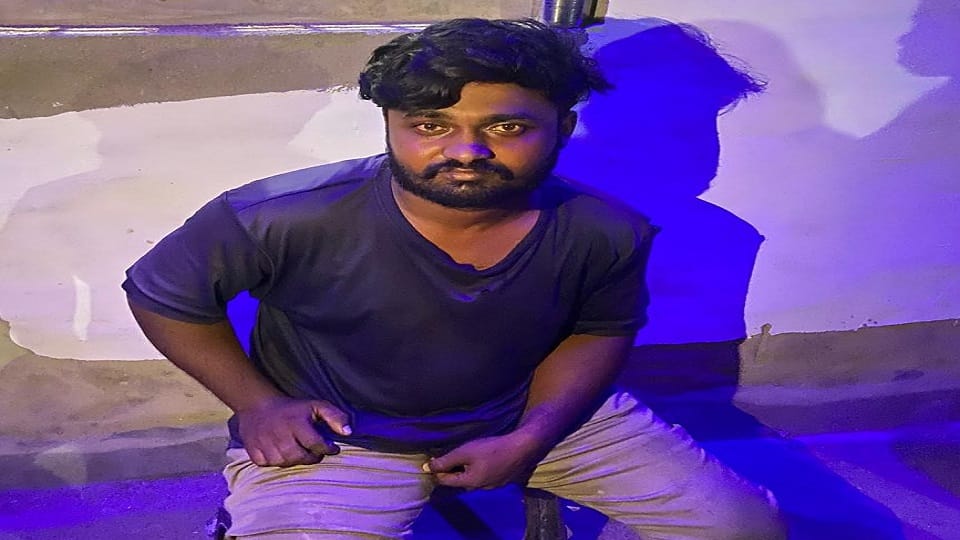 हरीओम वैष्णव