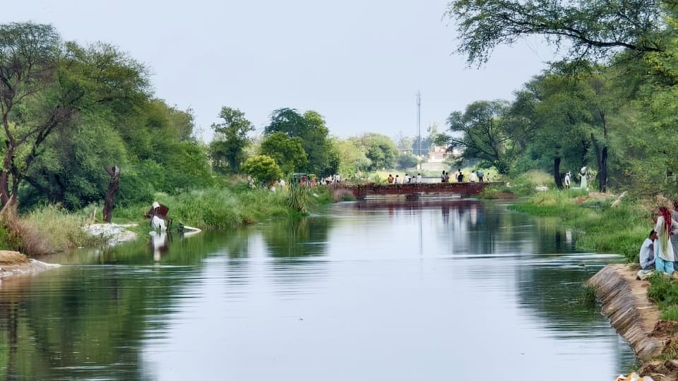 Haryana Flood 2025 Drains Breach in Fatehabad-Hisar,Villagers Forces Migrate Amid Waterlogging