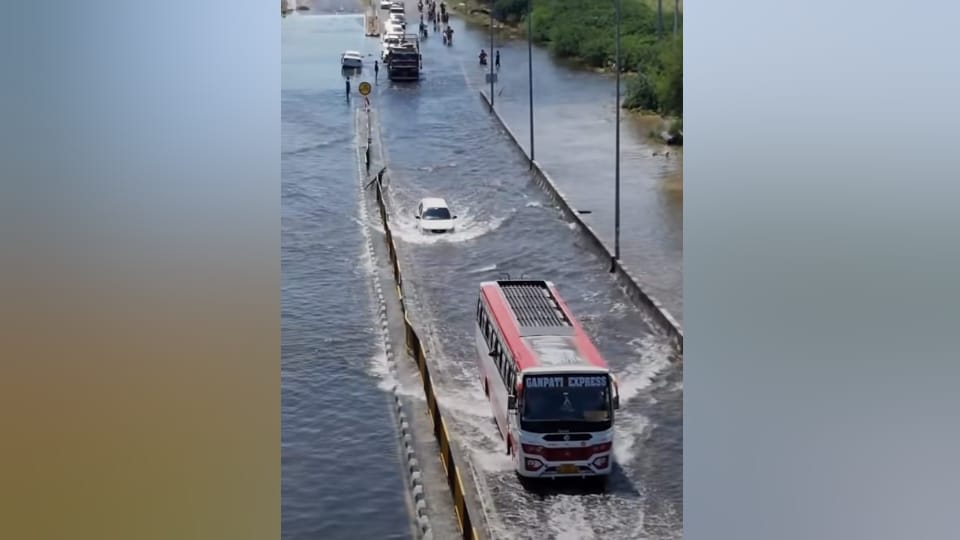 Haryana Flood 2025 Drains Breach in Fatehabad-Hisar,Villagers Forces Migrate Amid Waterlogging