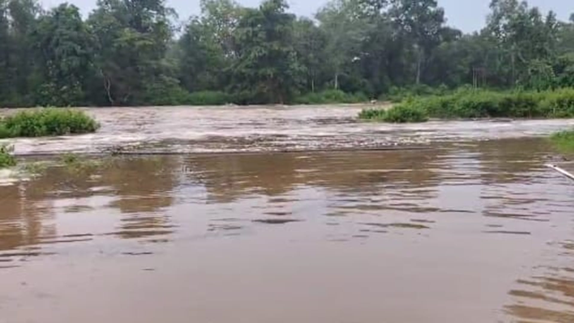 नदी नाले उफान पर हैं।