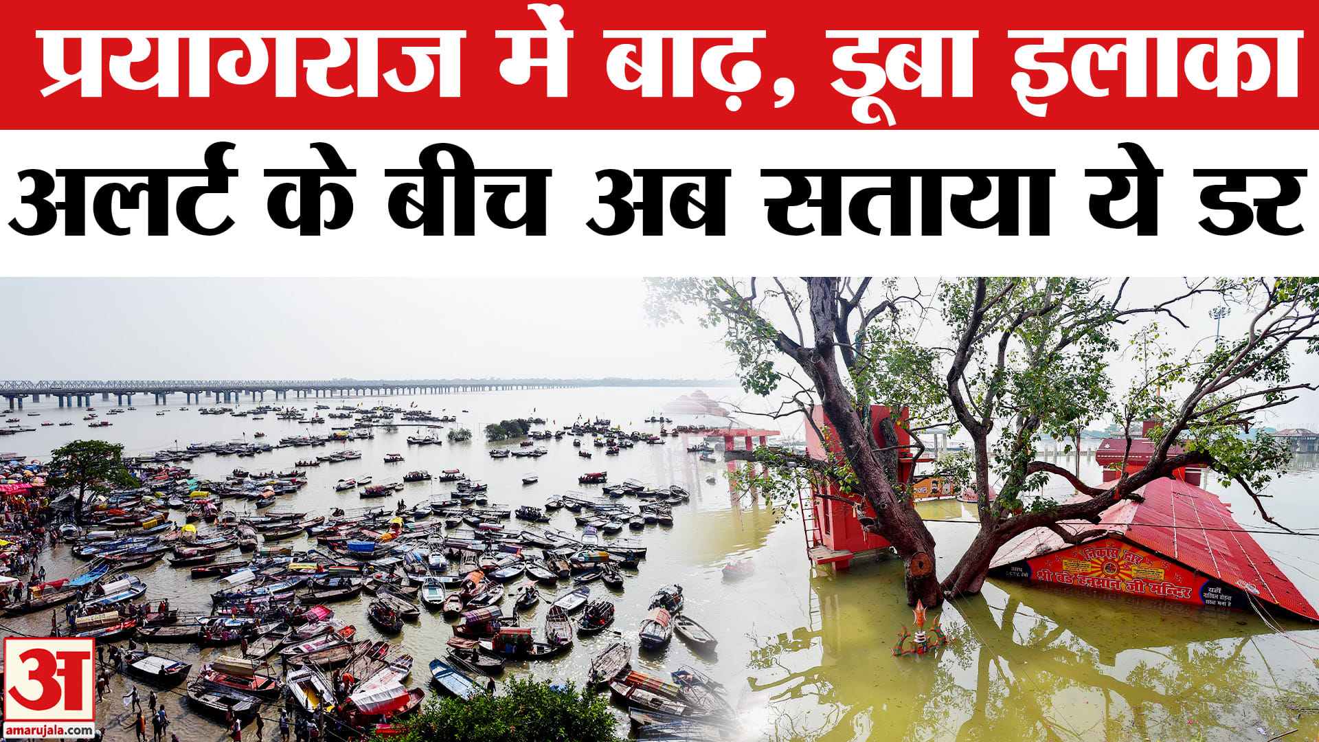 Prayagraj Flood News: संगमनगरी में हाहाकार, यमुना का बढ़ा जलस्तर, बिगड़े हालात | Flood | SDRF