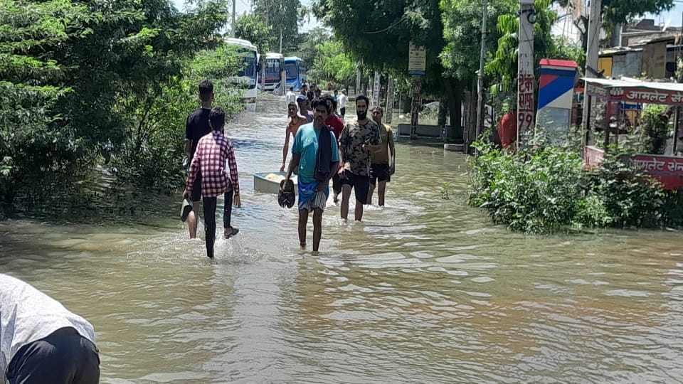 Yamuna wreaked havoc in Mathura-Vrindavan house collapsed eight buffaloes died all schools up to 12th closed