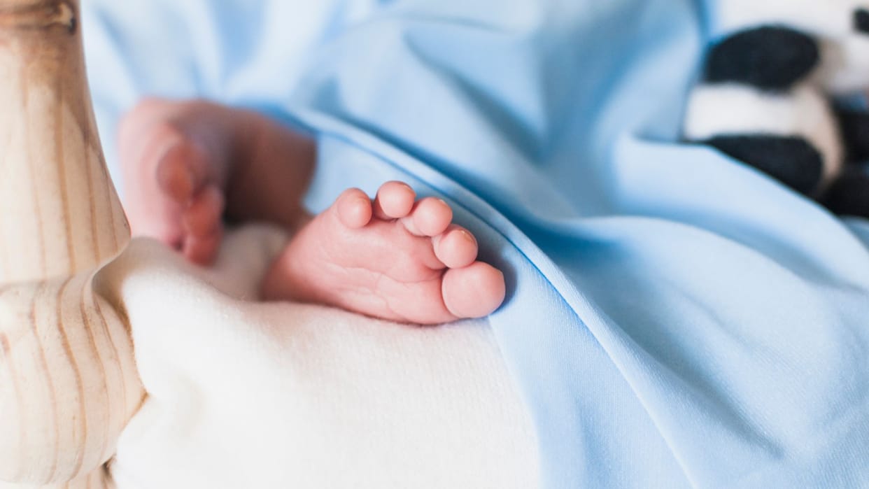 Madhya Pradesh Newborn baby girl dies in Indore hospital family alleges rats nibbled the fingers