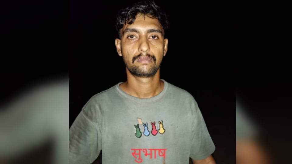 Meerut: STF Arrests Inter-State Smuggler in Shahjahanpur with ₹1.5 Crore Ganja