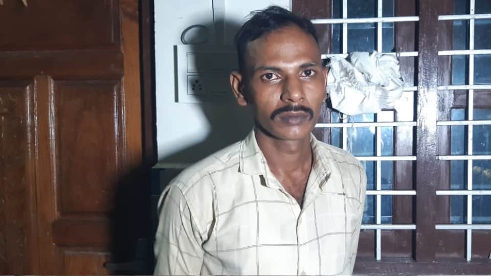 mother killed her three daughters and then committed suicide In Baghpat see photos
