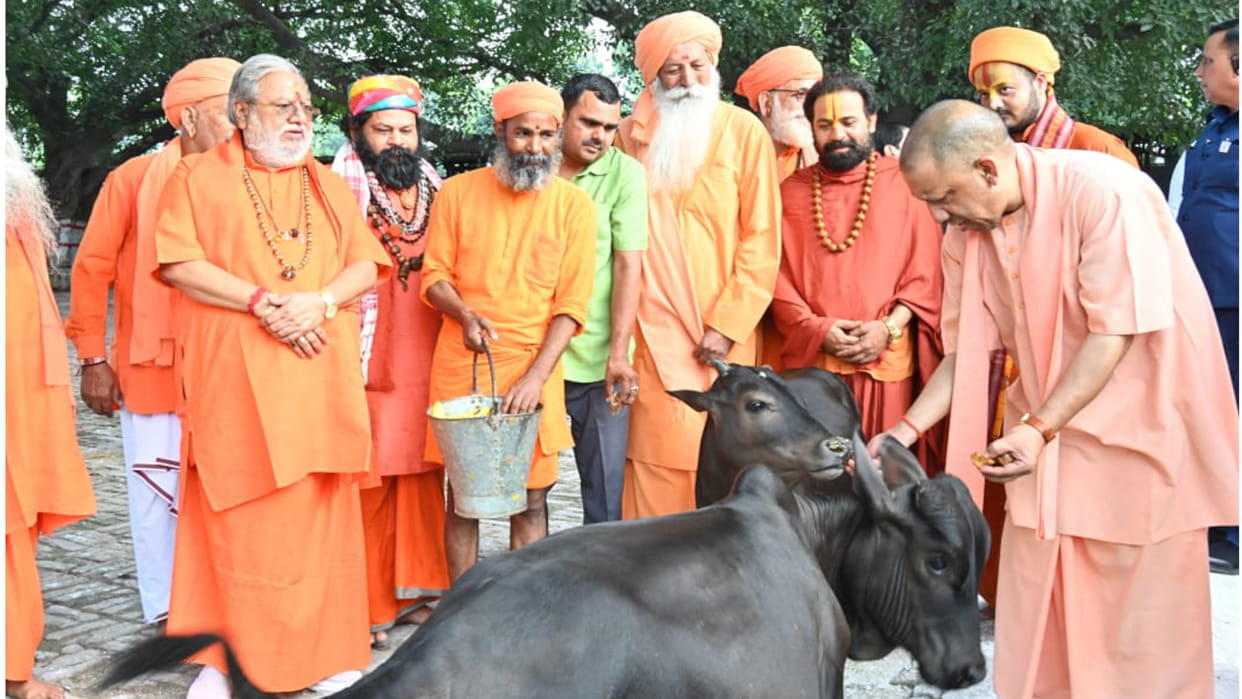 In Gorakhpur, CM Yogi did cow service in Gorakhnath temple, fed jaggery to peacock