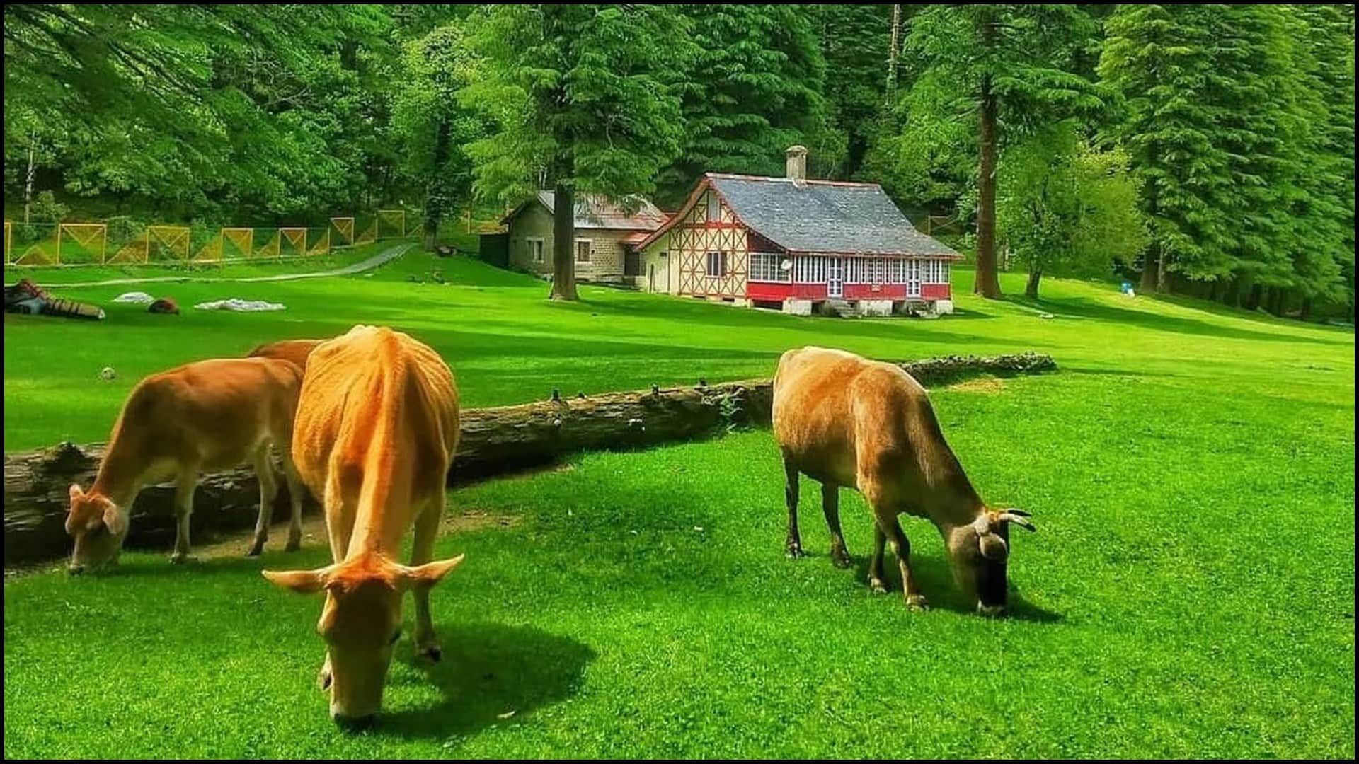 Budget Friendly Beautiful Village In India Like Mini Switzerland