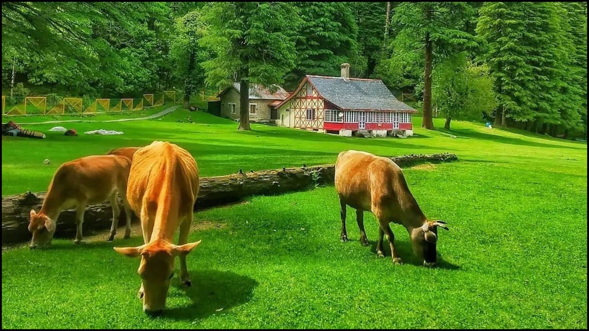Budget Friendly Beautiful Village In India Like Mini Switzerland