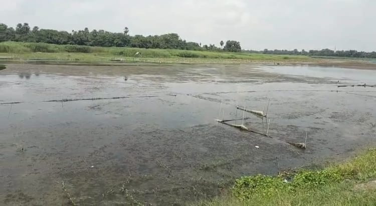 Bihar News: प्रवासी पक्षियों के लिए प्रसिद्ध मणिका मन सावन-भादो में भी सूखा, मन में उग आए खर-पतवार और जंगल