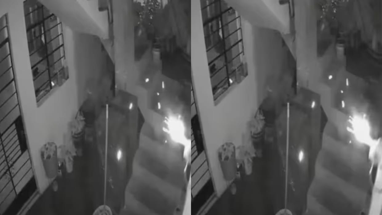 Bomb attack on journalist house loyal dog saves the life of the family Video goes Viral on Internet